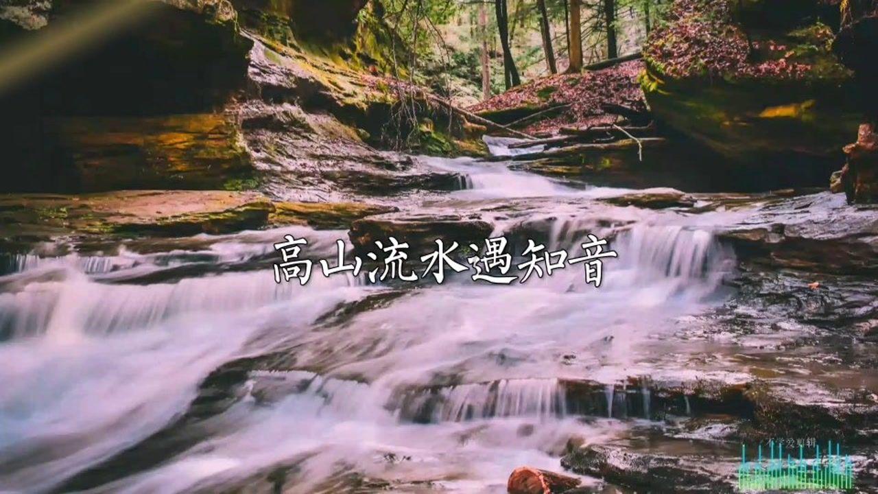 58问答交流平台元气骑士1.0.0全角色下载,快来解决各种问题!